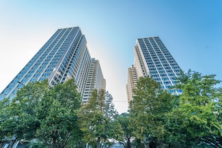 4250 N Marine Dr Unit 2607, Chicago, IL 60613