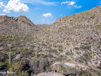 13768 N Cactus Valley Ct Unit 238, Marana, AZ 85658