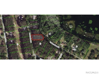 537 N Savary Ave, Inverness, FL 34453