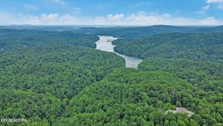 0 Hidden Cove Ln, Allons, TN 38541