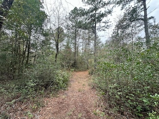 Parcel D Turkey Track St, Crestview, FL 32539
