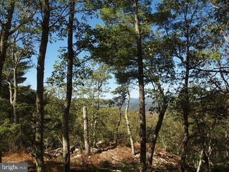 Lot #7 Dickenson Mountain Rd, Franklin, WV 26807