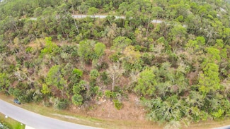 1081 Sherwin St, Port Charlotte, FL 33953