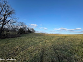 Lot 4 Mount Eden Rd, Waddy, KY 40076