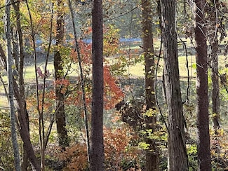 1 Bartin Ridge, Murphy, NC 28906