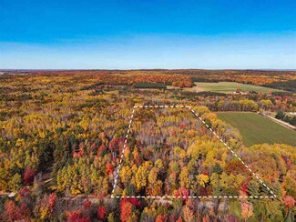 4281 E Workman Rd, Falmouth, MI 49632
