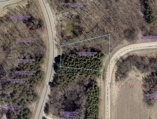 Lot 17 Block 1 Old Glory Dr NE, Alexandria Township, MN 56308