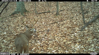 0 Terrain Dr, Hedgesville, WV 25427