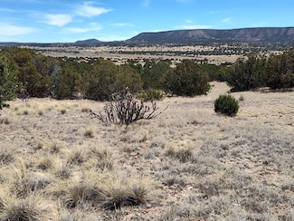 0 Highway 60, Mountainair, NM 87036