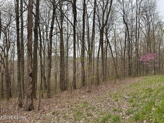 3051 Tomahawk Rd, Jamestown, TN 38556