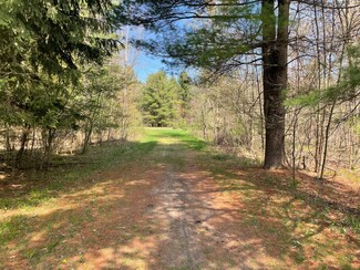 V/L N Benson Rd, Fountain, MI 49410