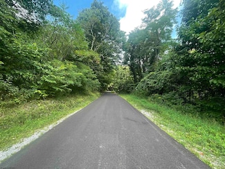 TBD Kumbrabow Forest Rd, Huttonsville, WV 26273