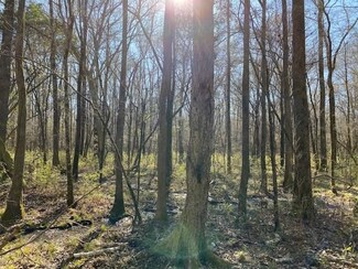 0 Red Rd, Tuskegee, AL 36083