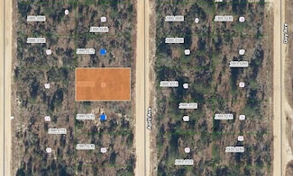 00 April Ave, Interlachen, FL 32148