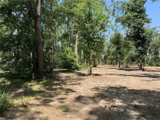 6.5 Acres Vacant Lan Everett Ln, Ponchatoula, LA 70454