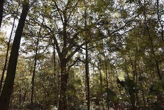 1220 SE US Highway 301 Unit LotWP001, Hawthorne, FL 32640