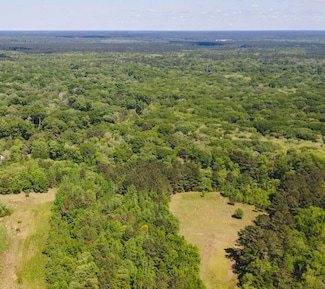 0 Old River Rd S Unit 17402901, Brooklet, GA 30415