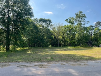 46 Weed Ave, Olar, SC 29843