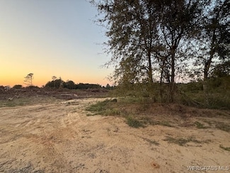 0 County Road 682, Coffee Springs, AL 36318