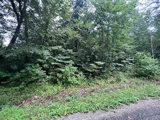 0 Sand Ridge Ln, Huron, TN 38345