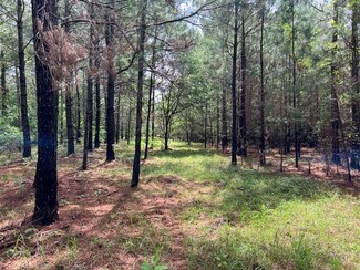 xx Orchard Rd, Quincy, FL 32352
