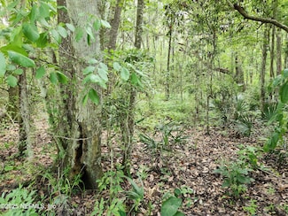 315 3rd Way, Interlachen, FL 32148