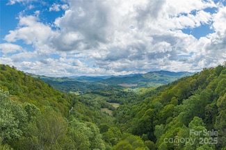 9999 Hurricane Ridge Trace, Clyde, NC 28721