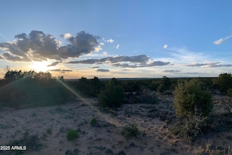 9 County Road N7340 -- Unit 14, Saint Johns, AZ 85936