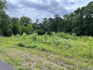 Lot #13 Country Cove, Crossville, AL 35962