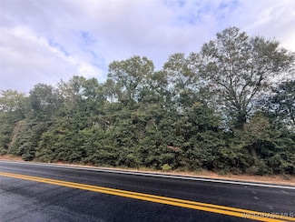 000 Alabama 87, Elba, AL 36323