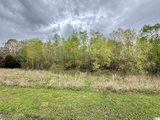 0 Golden Crest Dr Unit 19, 19a, and 19b, Sylacauga, AL 35151