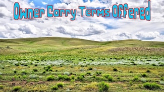 313 Watonga Rd, Hartsel, CO 80449