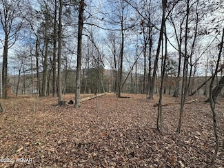 PARCEL 244 Lakeside Dr, Penn Township, PA 17758