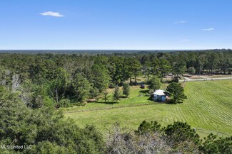 21111 Old River Rd, Vancleave, MS 39565