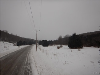 0 Cheningo Solon Pond Rd Unit S1590396, Taylor, NY 13040