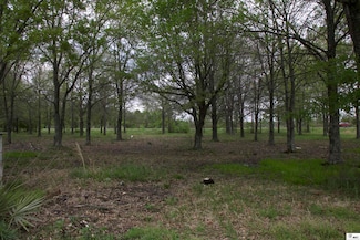 14 Plum Rd, Rayville, LA 71269