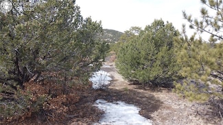 130 Bear Peak Rd, Westcliffe, CO 81252