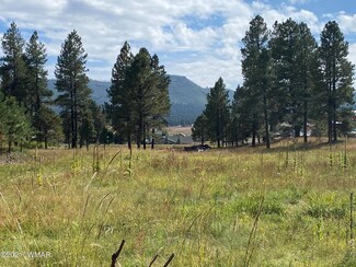 2 Cr N2057, Alpine, AZ 85920