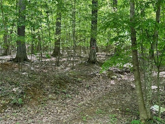 LT39 Hillside Ln, Jefferson, NC 28640