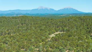 15536 Ponderosa Loop Unit LotWP001, Bon Carbo, CO 81024