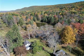 195 Hillview Rd, Spencer, NY 14883