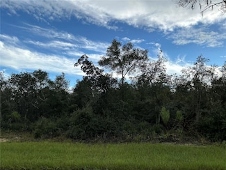 0 SW 178th St, Ocala, FL 34473