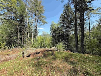 00 Senna Rd, Cavendish, VT 05142