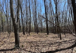0 Pear Ln Unit 23160288, Romney, WV 26757