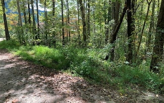 11 Mountain View Trail, Murphy, NC 28906