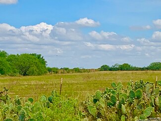 14.51 ACS TBD Kotara Ln, Floresville, TX 78114