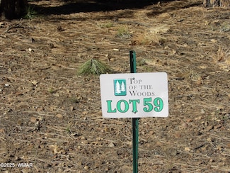 2522 S Aspen Run, Pinetop, AZ 85935