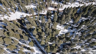 3532 Pine Cone Dr, Island Park, ID 83429