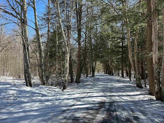 Lot 16 Black Bear Trail, Davis, WV 26260