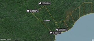 54145 N No Rd Trail, Talkeetna, AK 99676
